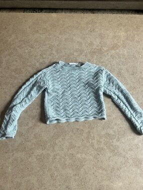 Place Light Blue Open-Knit Cropped Crew Sweater